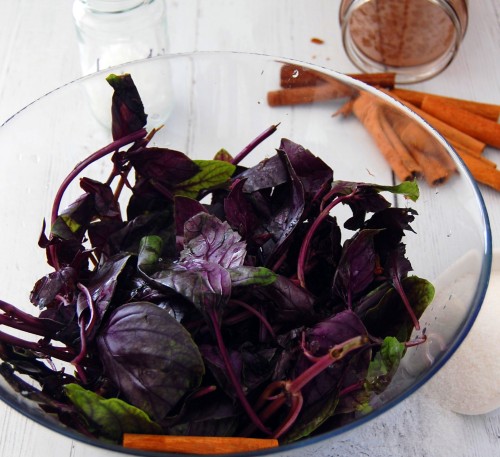 Basil Red Ruby 